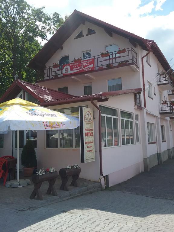 Pensiune Restaurant Sfinx Buşteni Exteriér fotografie